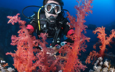 Haladó búvártanfolyam (Advanced Open Water Diver)